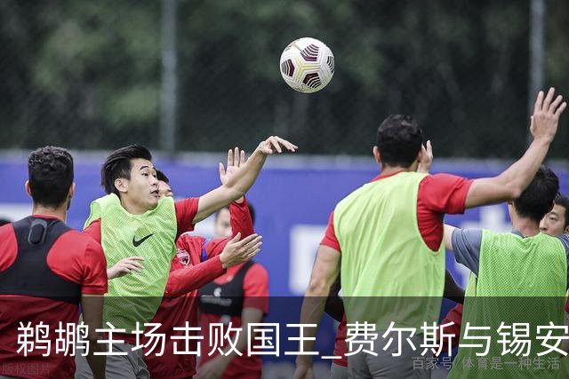 鹈鹕主场击败国王 费尔斯与锡安共同发力实现首胜